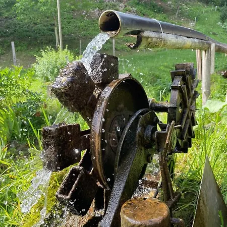 Апартаменты Apartma Drev In Bosnjak Добрна