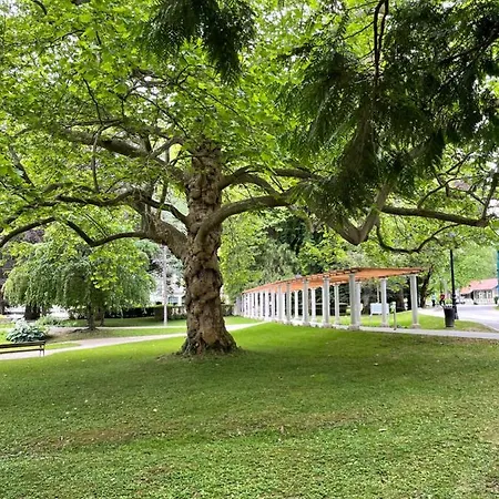 Апартаменты Apartma Drev In Bosnjak