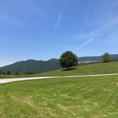 Apartma Drev In Bosnjak Dobrna
