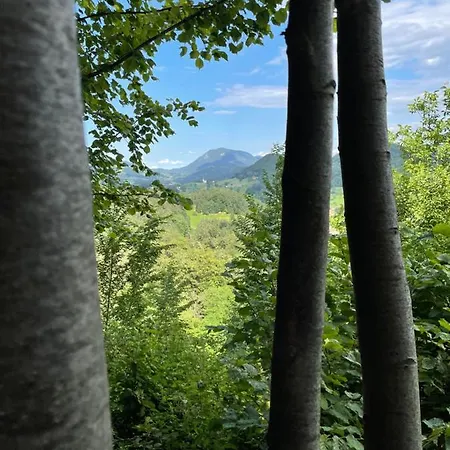 Διαμέρισμα Apartma Drev In Bosnjak *